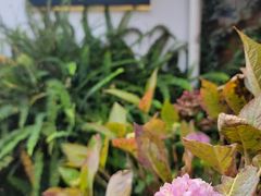 -小喜客·云南特色菜(纳西庭院店)