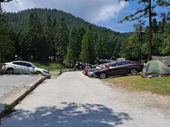 -武陵山森林公园