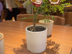 -CURRY YA 熟成咖哩專門店(深圳湾万象城店)