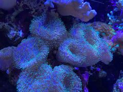 -杭州长乔极地海洋公园