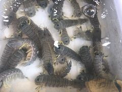 -拉威海鲜市场