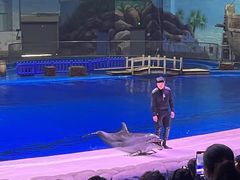 -华夏文旅海洋公园