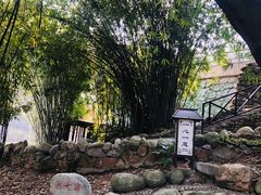 -三江森林温泉度假区