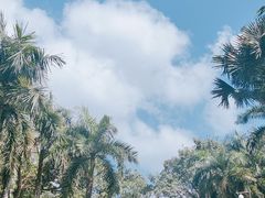 -深圳仙湖植物园