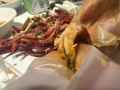 -杨氏青龙虾·羊蝎子(金盛路总店)