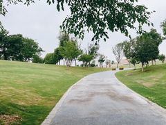 -盘龙城国家考古遗址公园