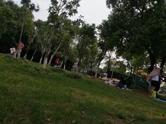 -艾溪湖湿地公园