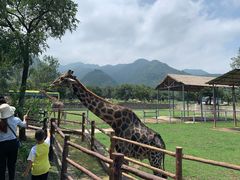 -西安秦岭野生动物园