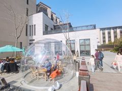 -上海崇明金茂凯悦酒店