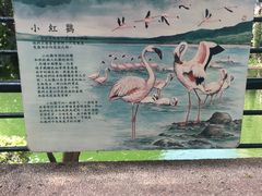 九龙公园-香港皇家太平洋酒店