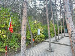 -帽儿山国家森林公园