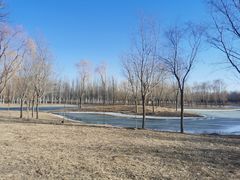 -东郊湿地公园