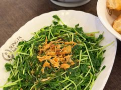 -松發肉骨茶(先得坊店)