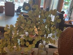 -陶享时光西餐·下午茶·竹林花园(新城店)