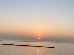 -贡湖湾湿地公园