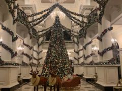 -LONG BAR 廊吧(外滩华尔道夫酒店)