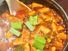 -陈麻婆豆腐总店