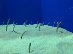 -上海海洋水族馆