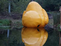 -武汉姚家山旅游景区