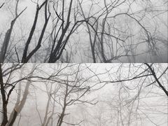 -九峰山