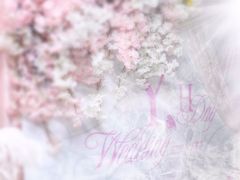 -星尚嫁日(红星国际广场店)