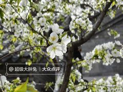 -济南大明湖景区