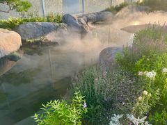 -罗红摄影艺术馆