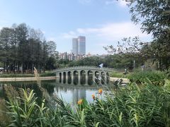 -四海公园(南山区)