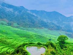 -婺源风景区
