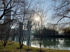 -天鹅湖体育公园