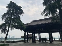 -Beans Solo豆号咖啡(百家湖花园店)