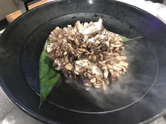 日本有机舞菇-煲宫(华润万象城店)