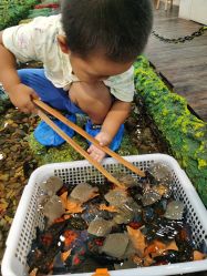 -钓虾工场·钓虾·赶海(回龙观店)