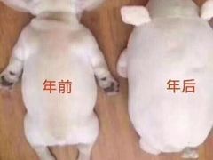 -鲜螺湾(鹏欣丽都店)