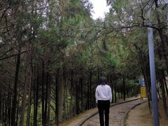 -延安杨家岭革命旧址