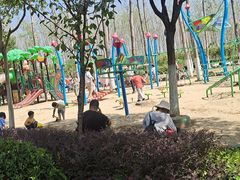 -合肥滨湖国家森林公园