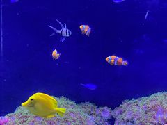-成都浩海立方海洋公园