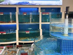 -闽鲜森霞浦海鲜城
