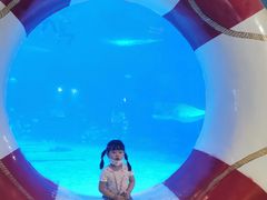 -烟台海昌鲸鲨海洋公园