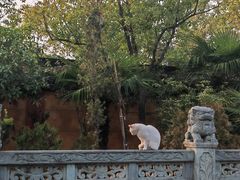 -高旻寺
