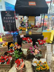 -乐高授权专卖店(济南万象城店)