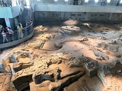 -自贡恐龙博物馆