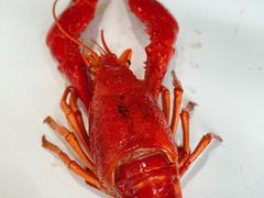 -文和友老长沙龙虾馆(化龙池店)