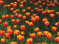 -长春公园(普阳街道)