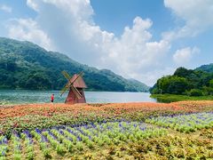 -广州市石门国家森林公园