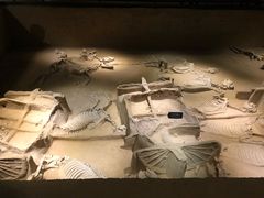 -洛阳周王城天子驾六博物馆