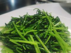 -718·私房·菜(尚大国际店)