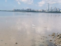 -深圳湾公园(南山区)