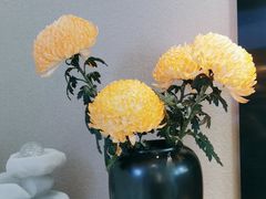 -大鱼·养生·禅洗头疗·按摩SPA