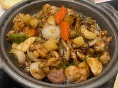 -新兴·金羊座·粤菜点心(乐峰店)